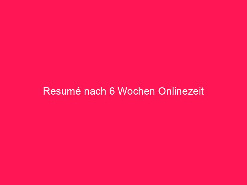 Resumé nach 6 Wochen Onlinezeit | conzept 16 Blog