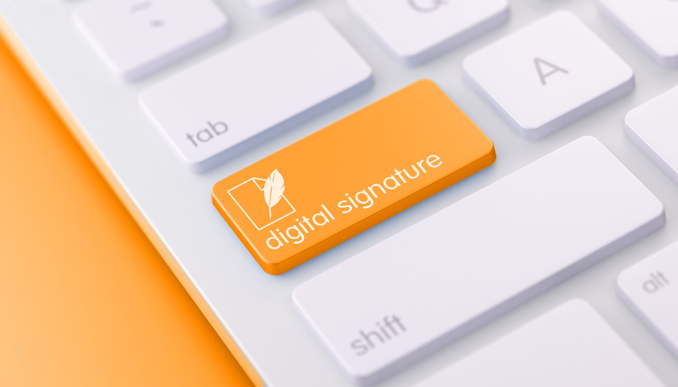 Button mit Aufschrift "digital Signature"